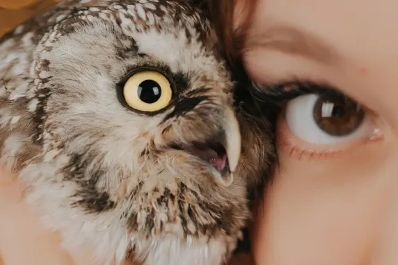 VegasWild Kazino Atbalsts